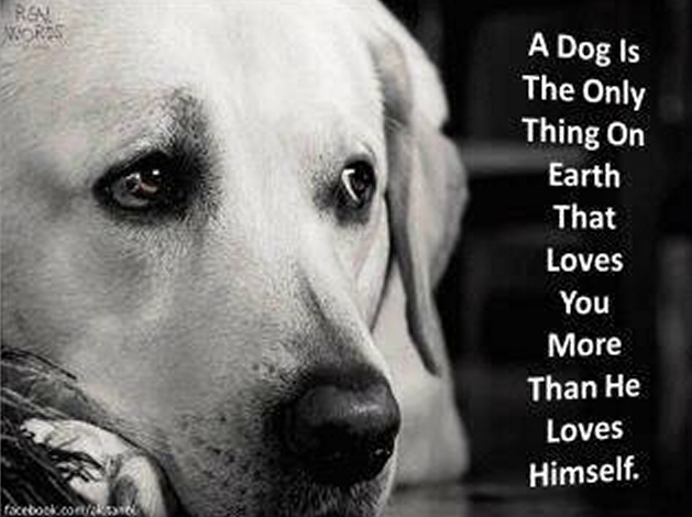 \u201cA dog is the only thing on earth that loves you more than 